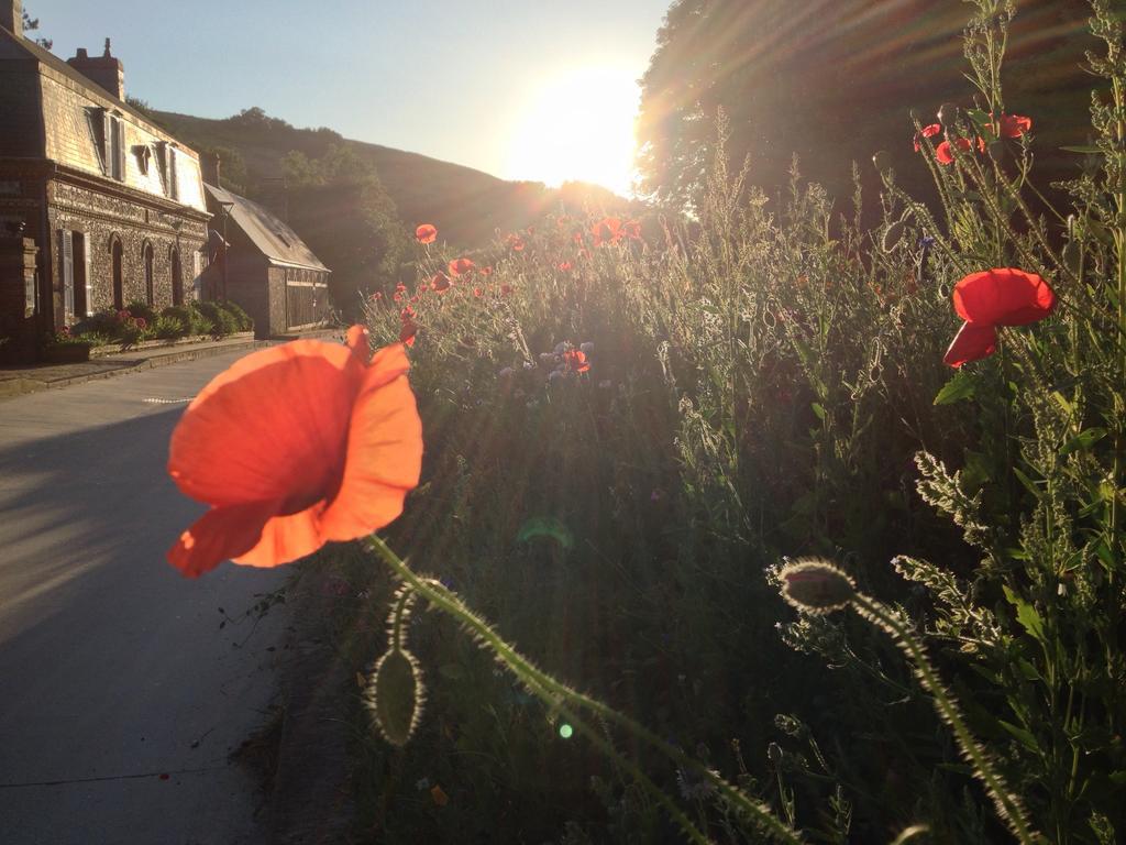 La Flore De Lys, Cottage Ideal Pour 2 Adultes Et 2 Enfants Saint-Jouin-Bruneval Rum bild