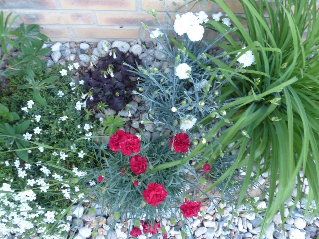 La Flore De Lys, Cottage Ideal Pour 2 Adultes Et 2 Enfants Saint-Jouin-Bruneval Rum bild